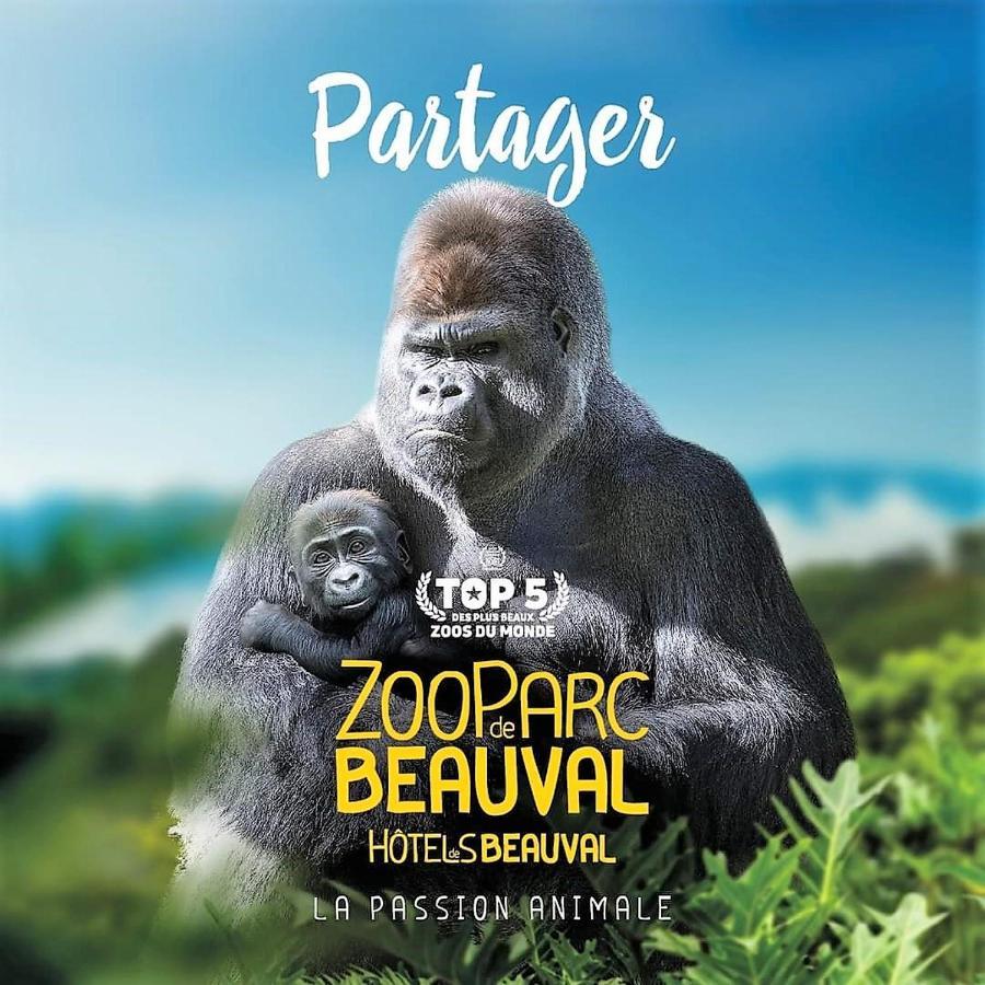 Les Bruyeres De Jeanne Et Rene Zoo De Beauval A 20Min,Chateaux Tout Inclus Fontguenand المظهر الخارجي الصورة